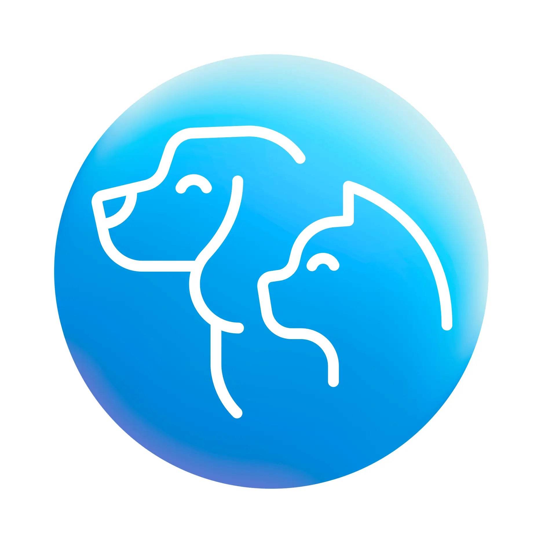 1 - Valor Digital