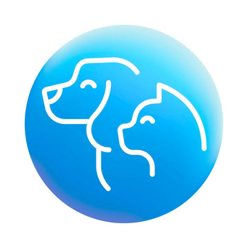 1 - Valor Digital