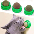 Bola Adesiva de Parede com Catnip - Valor Digital