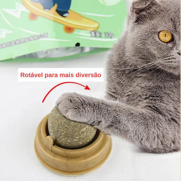 Bola Adesiva de Parede com Catnip - Valor Digital