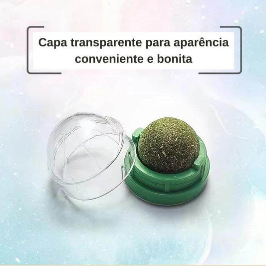 Bola Adesiva de Parede com Catnip - Valor Digital