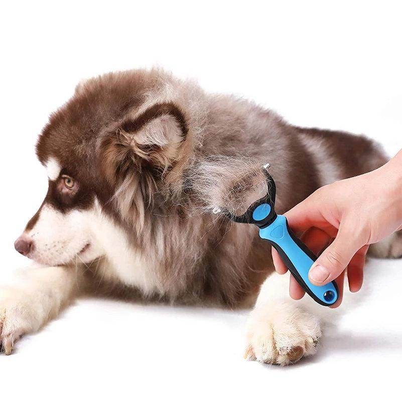 Escova profissional para remoção de pelos de Pet´s - Valor Digital