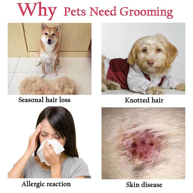 Escova profissional para remoção de pelos de Pet´s - Valor Digital