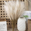 Flor Artificial do Pampas - Valor Digital