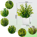 Planta artificial - Valor Digital
