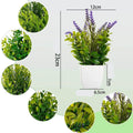 Planta artificial - Valor Digital