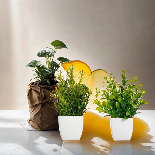Planta artificial - Valor Digital