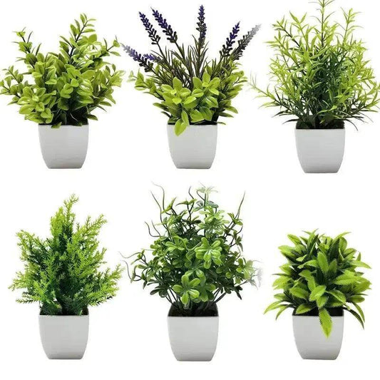 Planta artificial - Valor Digital