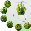 Planta artificial - Valor Digital